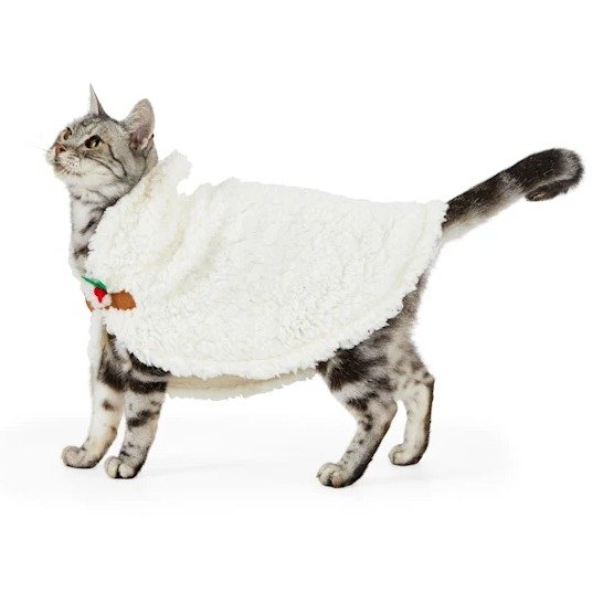 Merry Makings Holiday Hoodwinked Ivory Cat Cape | Petco