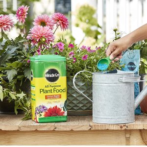 Today Only: Amazon Select Plant Food Sale