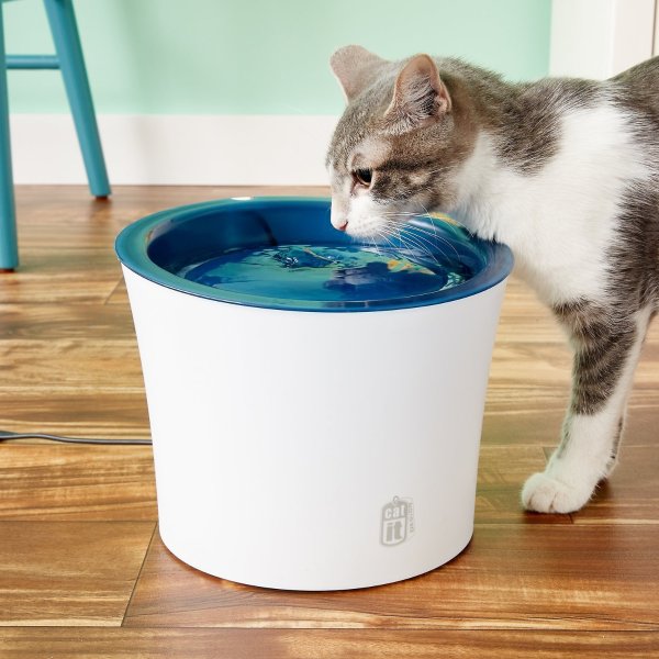 猫咪饮水机