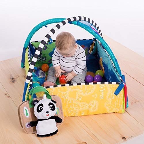 5-in-1 Journey of Discovery Activity Gym