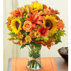 1-800-Flowers.com鲜花和礼品促销 (Dealmoon庆双11独家)