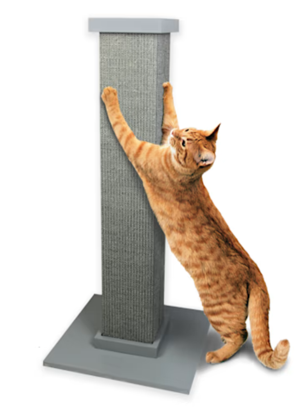 Pioneer Pet Ultimate Scratching Post Grey For Cats, 32" H