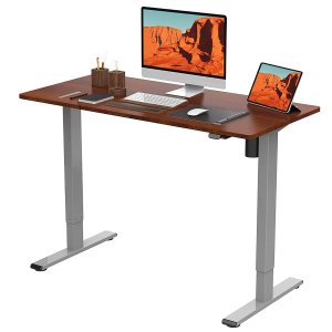 FLEXISPOT Standing Desk 48 x 24 Inches