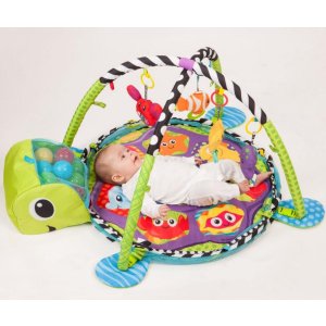 Infantino Grow-with-me Activity Gym and Ball Pit