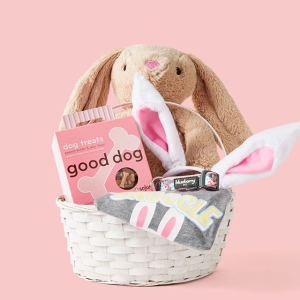 Chewy Pet Easter Shop