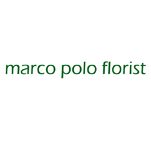 Marco Polo Florist - 达拉斯 - Dallas