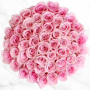 Costco 50-Stem Valentine's Day Roses