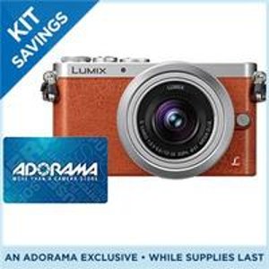 Panasonic Lumix DMC-GM1 Mirrorless Digital Camera with 12-32mm Lens + Free $100 Adorama Gift card