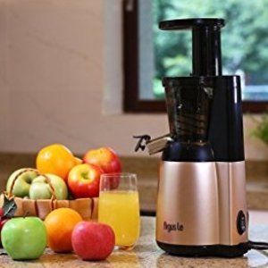 Argue Le Slow Juicer, Easy Cleaning Cold Press Juicer, 150W Quiet Motor Masticating Juicer