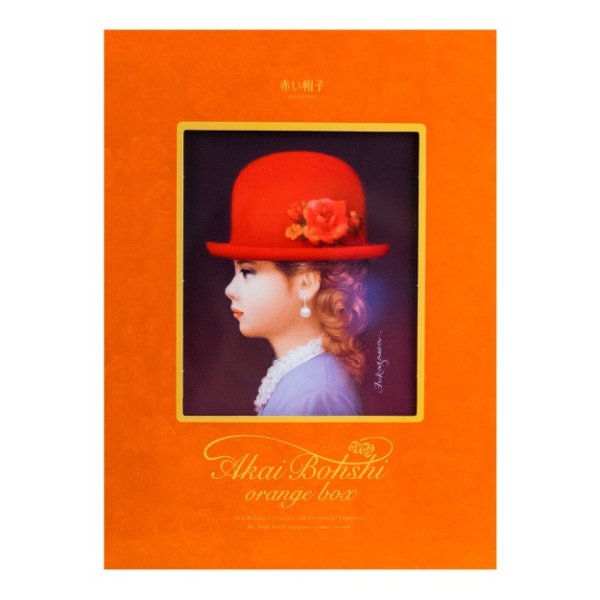 TIVOLINA Akai Bohshi Mixed Cookie Gift Box-Orange Box 26Pieces