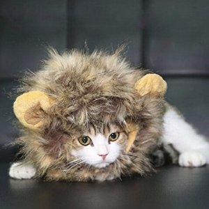 Dogloveit Pet Costume Lion Mane Wig for Dog Cat Halloween Dress up with Ears