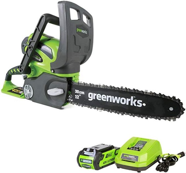 12-Inch 40V Cordless Chainsaw, 2.0 AH Battery Included 20262
