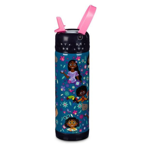 Encanto Stainless Steel Water Bottle with Built-In Straw | shopDisney