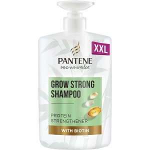 Pantene干燥受损发质洗发水 1L