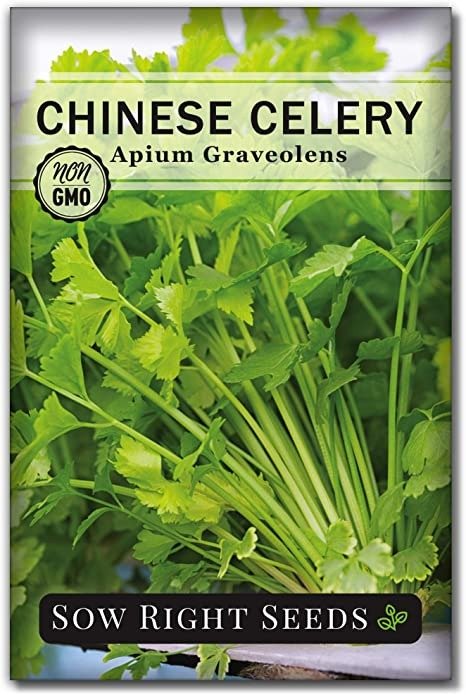 Sow Right Seeds - Chinese Celery Seeds for Planting; 400 Non-GMO Heirloom Seeds per Packet with Instructions to Plant and Grow a Kitchen Herb Garden, Indoors or Outdoor; Gardening Gift