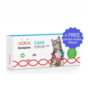 $99 送免费口腔检测Basepaws 猫咪品种DNA+健康检测套装