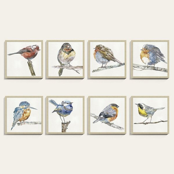 Birds of Feather Framed Art Print Series
