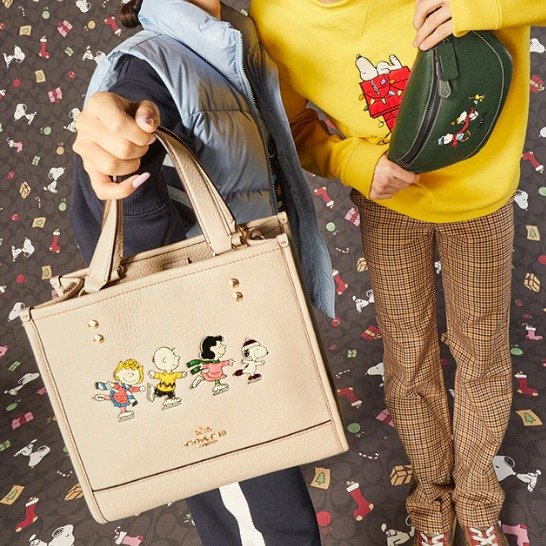 Coach X Peanuts Dempsey Tote 22 With Snoopy And Friend CE850 www