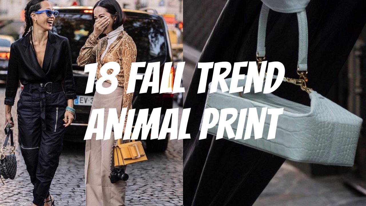 2018 Fall Trends # 1 | 被动物纹统治的天下