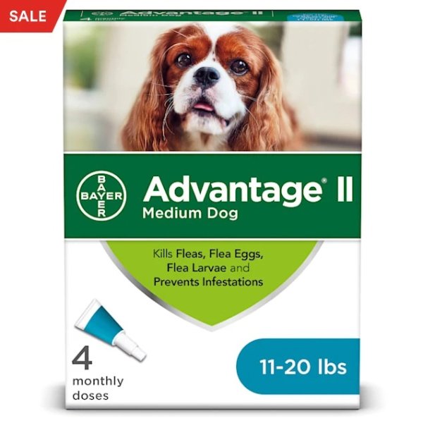 Bayer Once-A-Month Topical Flea Treatment for Dogs & Puppies 11 to 20 lbs., Pack of 4 | Petco