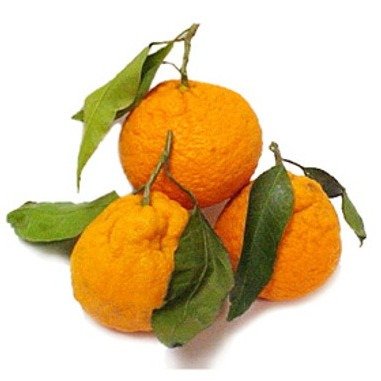 Box packed seedless tangerine with branches