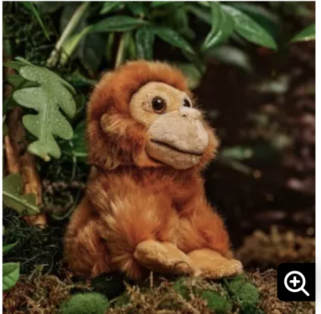 WWF 收养红毛猩猩宝宝 获赠毛绒玩偶