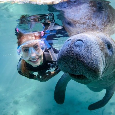 Manatee Adventure, Airboat, Lunch, Wildlife Park with Transport
