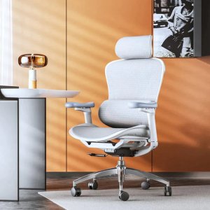 Dealmoon Exclusive: Sihoo Doro C300 Ergonomic Office Chair Mother's day sale