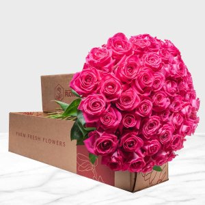 50-stem Hot Pink Roses