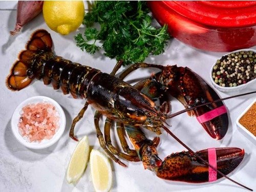 Lobster - Live, North American, Cold Water, Wild, 1.25lb