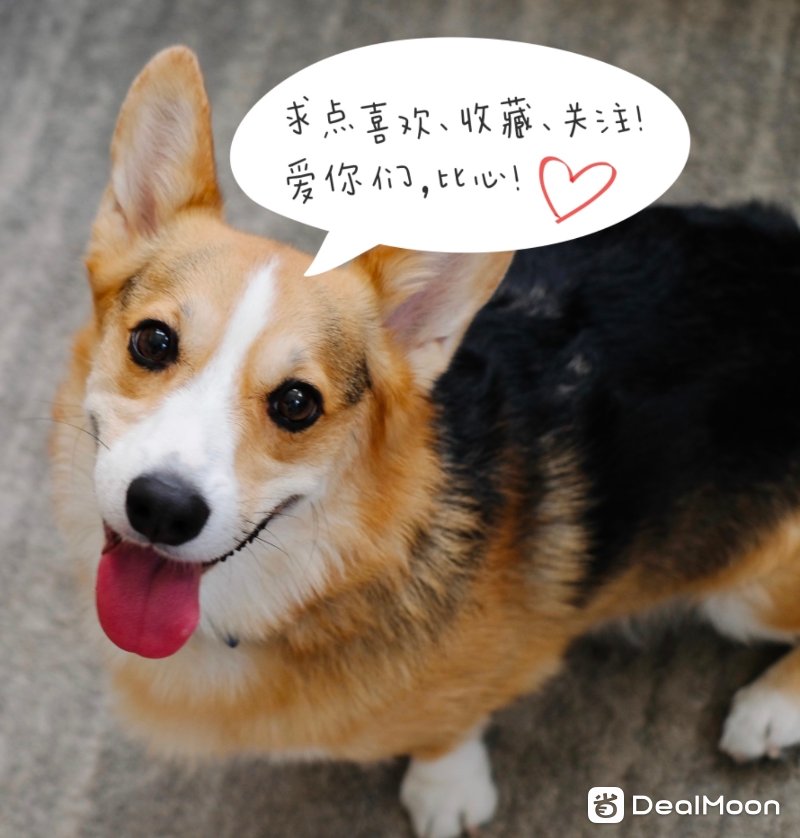 BF63C374-EAD9-414E-8CBB-2D7B28AA9272.jpeg