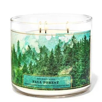 Fall Forest 3-Wick Candle