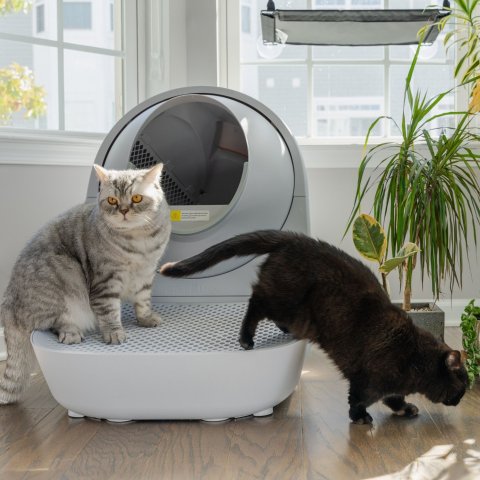 Save up to $270CATLINK Self Cleaning Cat Litter Box On Sale