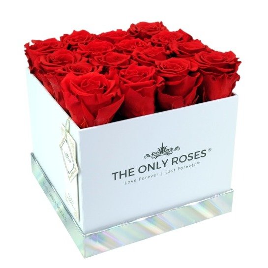 Red Preserved Roses | Square White Huggy Rose Box