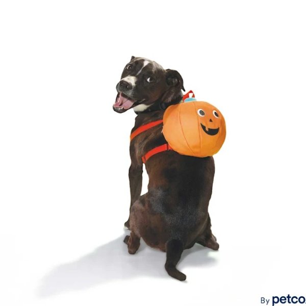Pumpkin Dog Backpack, Small/medium | Petco