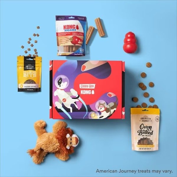 GOODY BOX x KONG Classic Dog Toys & Treats, Large - Chewy.com