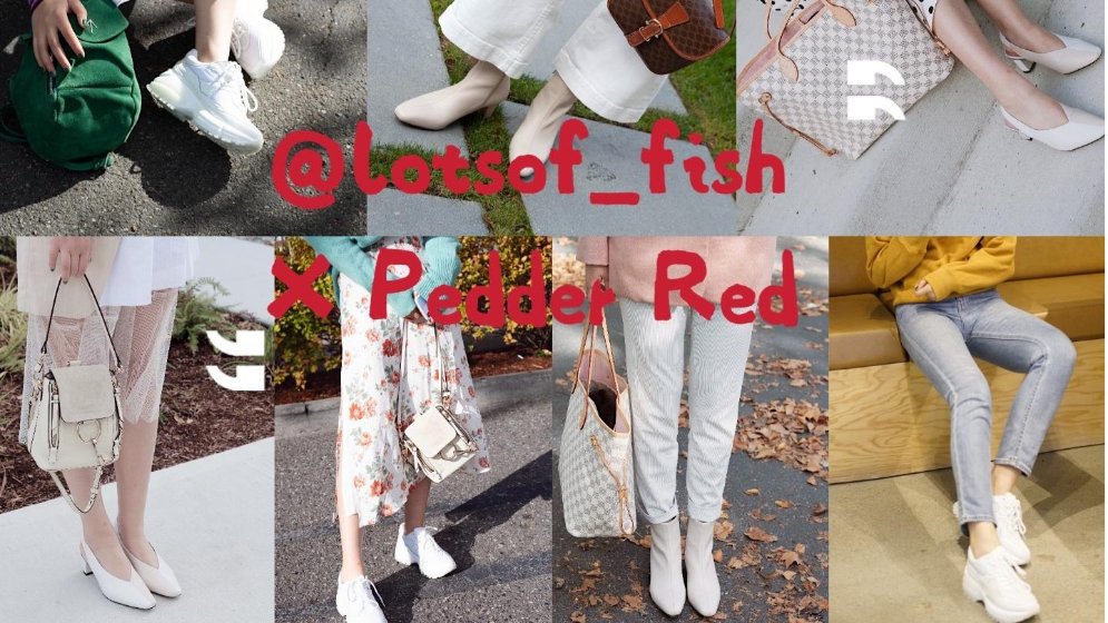 站在白色里,做几个彩色的梦 | Pedder Red众测报告