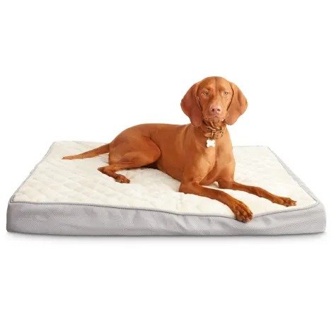 Gray Orthopedic Lounger Dog Bed, 40" L X 30" W | Petco