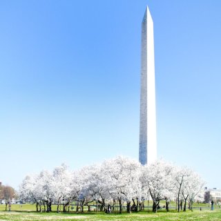 华盛顿纪念碑 - Washington Monument - 大华府 - Washington