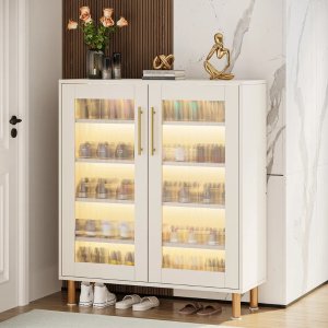 Ivy Bronx22 Pair Shoe Storage Cabinet With Light