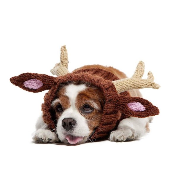 Reindeer Dog Snood Knit Crochet Dog Hat with Antlers | Etsy