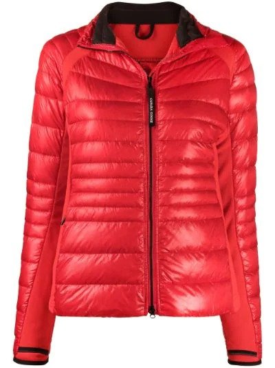Hybridge Lite padded jacket | Canada Goose | Eraldo.com