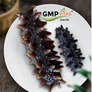 Last Day: GMP Vitas Specialty Foods Limited Time Promotion