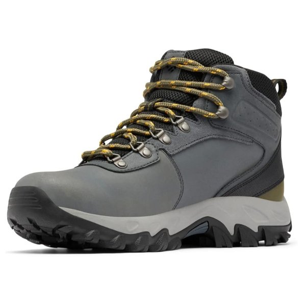 Men's Newton Ridge Plus Wp Hiking Shoe