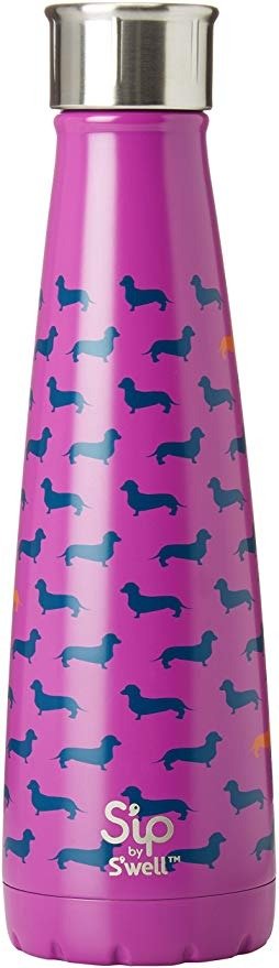 200115510 Insulated, Double-Walled Stainless Steel Water Bottle, Top Dog 15oz, Purple