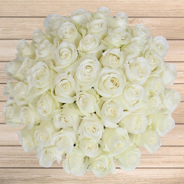 Pre-Order Valentine's Day 50-stem White Roses