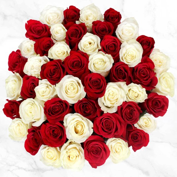 Valentine's Day 50-stem Red and White Roses