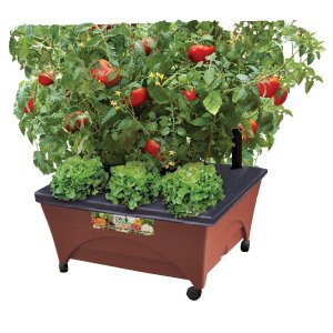 Patio Raised Garden Bed Grow Box Kit with Watering System