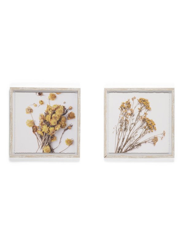 2pc 15x15 Dried Floral Wall Art Set | Home | Marshalls