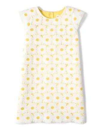 Girls Short Ruffle Sleeve Embroidered Daisy Lace Shift Dress - Garden Party